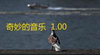 奇妙的音乐  1.00